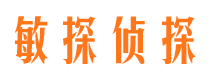 阳新私人侦探